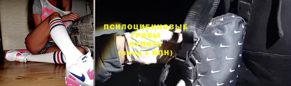 молекула духа Абинск