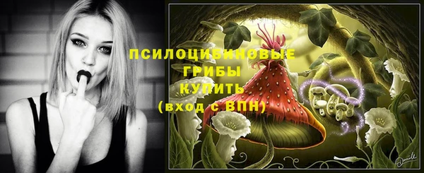 ешки Алексеевка