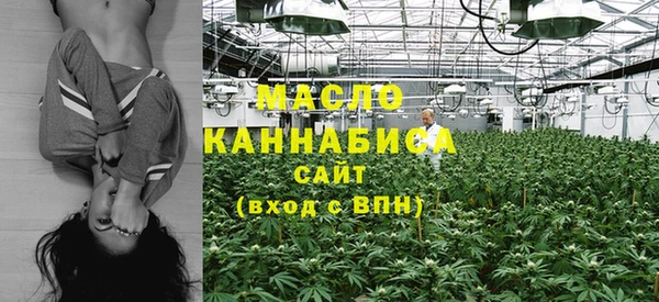 таблы Ельня