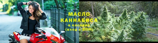 индика Новокубанск