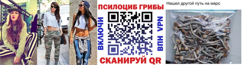 купить наркотик  Починок  Псилоцибиновые грибы MAGIC MUSHROOMS 